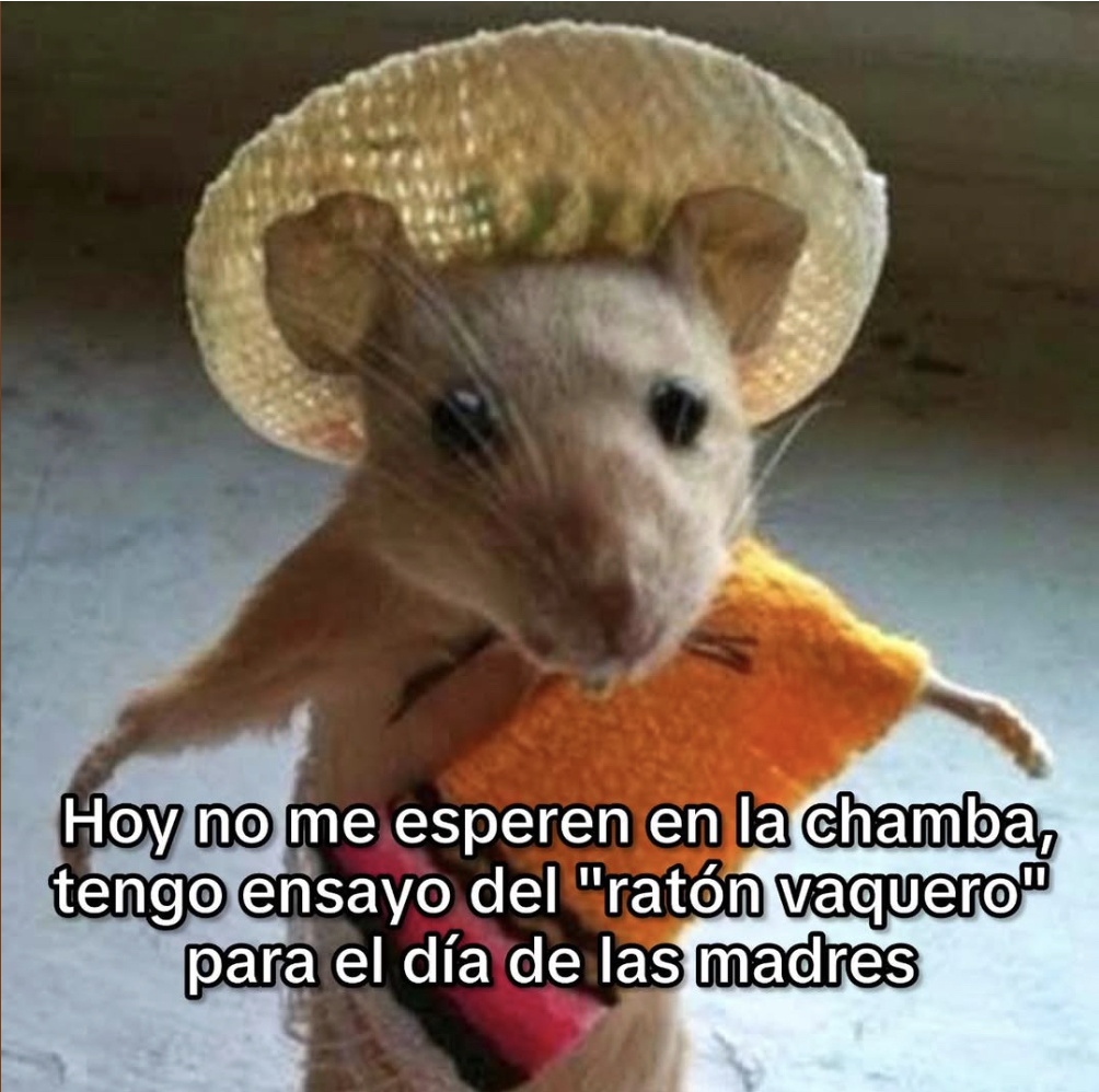 No me esperen.