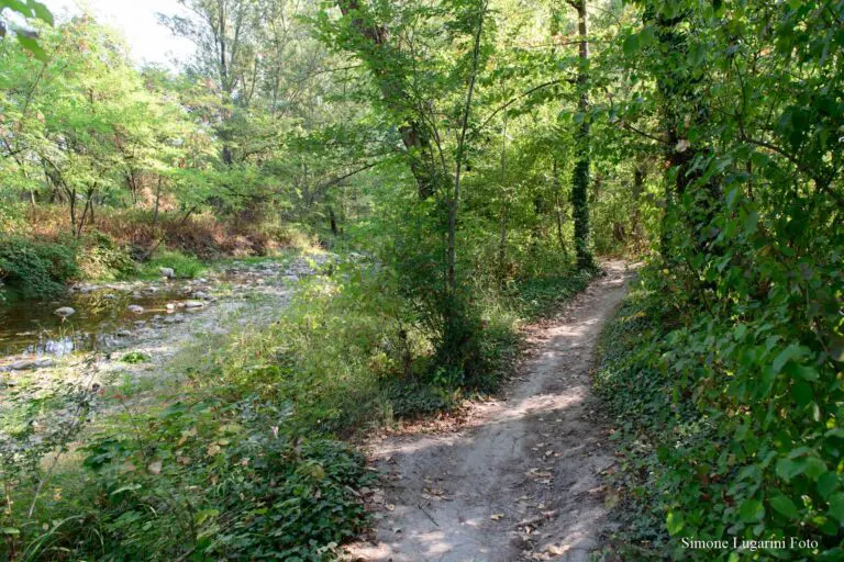 RegioneER's tweet photo. #Difesa del #suolo: Sottoscritto un #protocollo per aggiornare le analisi e definire interventi contro il rischio alluvioni nel bacino del torrente Crostolo a #ReggioEmilia. Stanziati 390mila euro per studi e progettazione. La #notizia👉https://t.co/q6rOZIkeAW https://t.co/6aQ2JTmmVa