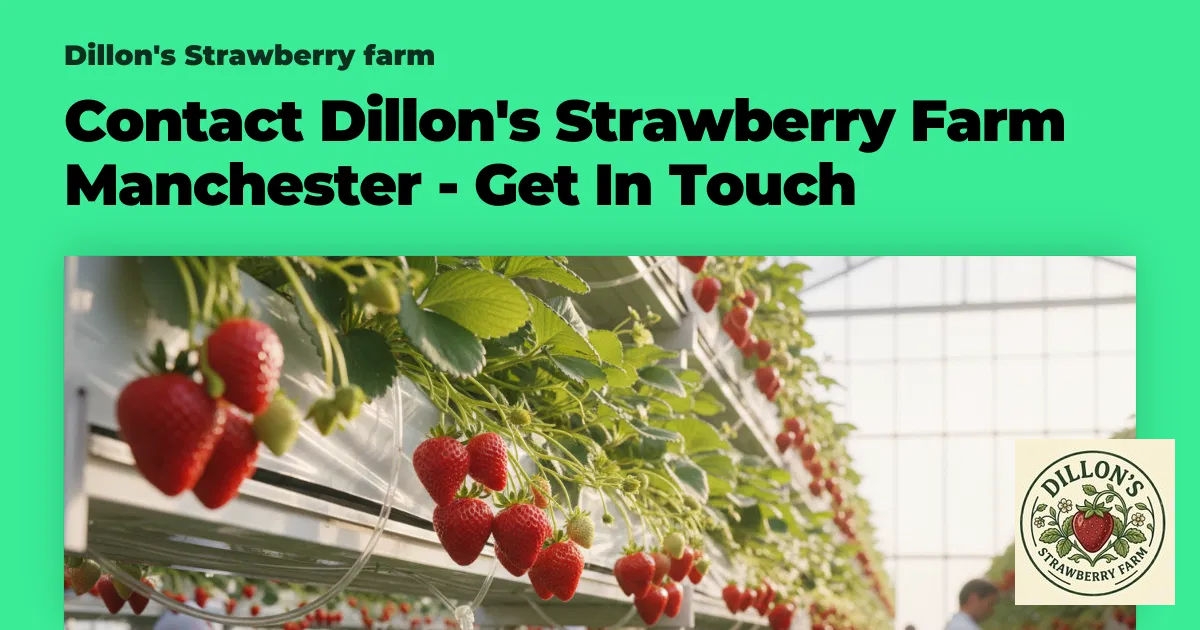 Dillon's Strawberry Farm tweet media