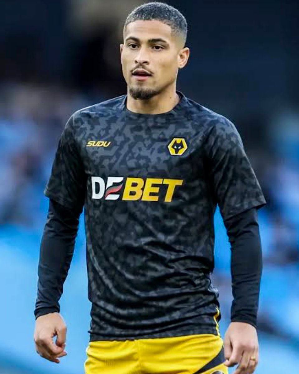 Talking Wolves tweet media