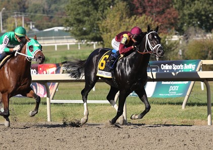 HORSERACING1002's tweet photo. COAL FRONT๐บ๐ธ2014
(STAY THIRSTY โช๏ธ MINER'S SECRET BY MINESHAFT)
#CoalFront
B/ Michael Edward Connelly (Ky) March 9, 2014, Redgling
O/ LaPenta Robert V, & Head of Plains Partners LLC,
T/ Todd A. Pletcher
OBSAPR $575,000
13-8-0-1---$1,825,280
Razorback H G3, Gallant Bob S G3, Amsterdam S G2, Park Dirt Mile, Mr. Prospector S G3, Godolphin Mile G2
3rd Monmouth Cup G3,
Stood at Spendthrift Farm , Red River Farm๐บ๐ธ
Sired Haulin Ice, Crazy Mason, Mezcalifornia, Cur Non, Coalmoon, In B. J.'s Honor, Coal Battle, For The Home Front, Gee No Hollander, TheManupfront,
