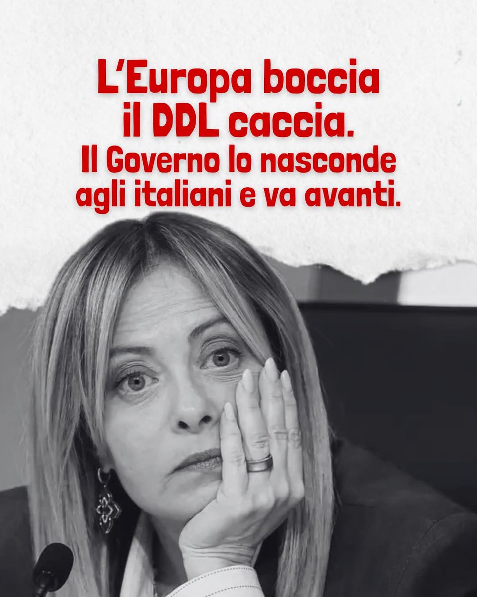 Marilena tweet media
