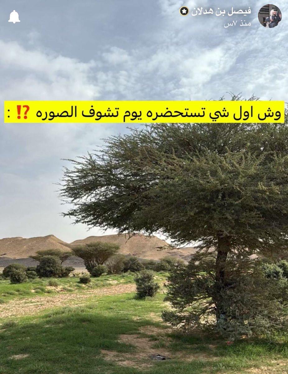 نقطه tweet media