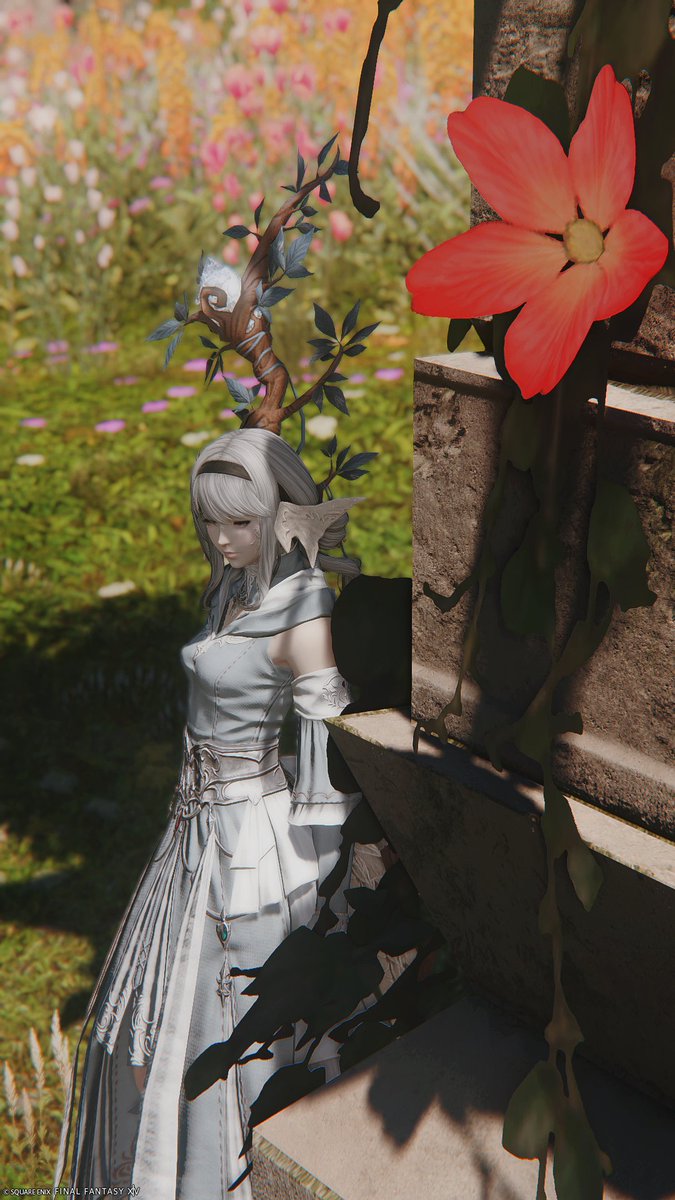 Post by 𝘁 𝘀 𝘂 𝗻 𝗮 on X: 💐