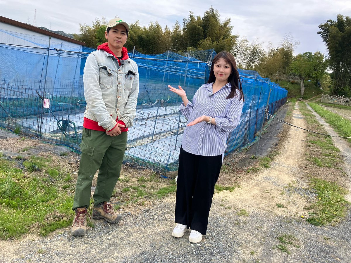 西上真帆 フリーアナウンサー tweet media