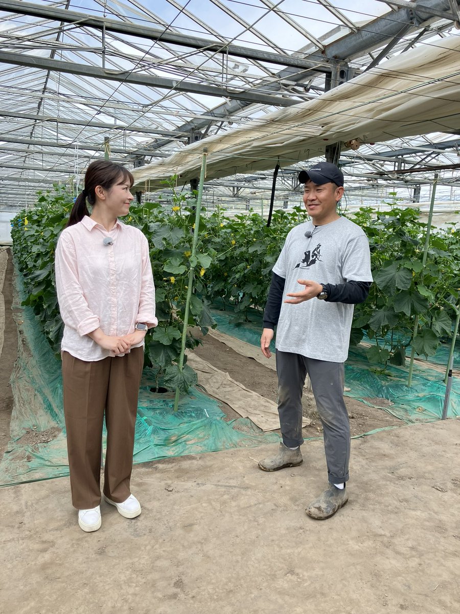 西上真帆 フリーアナウンサー tweet media