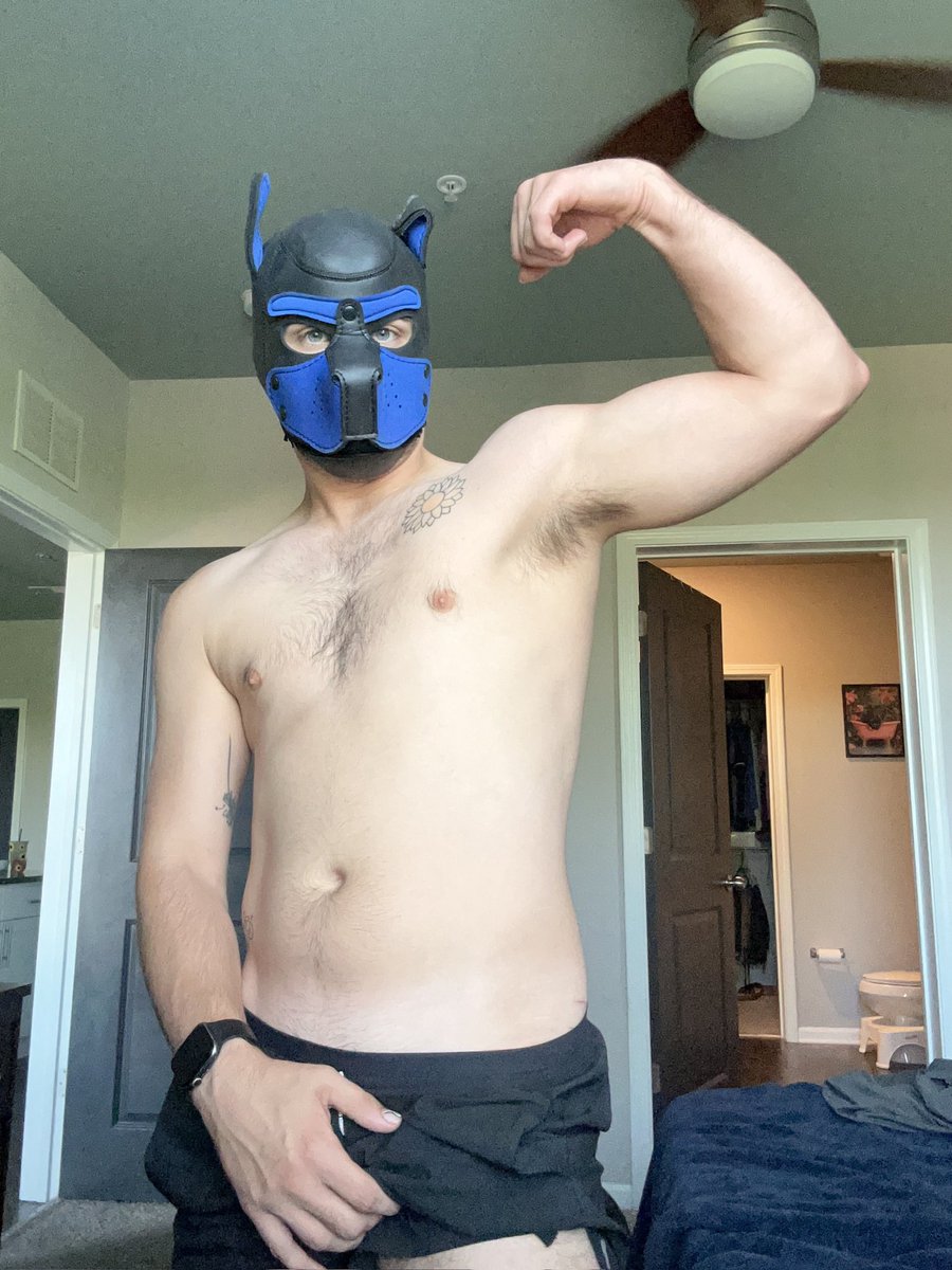 Shadow Pupp tweet media