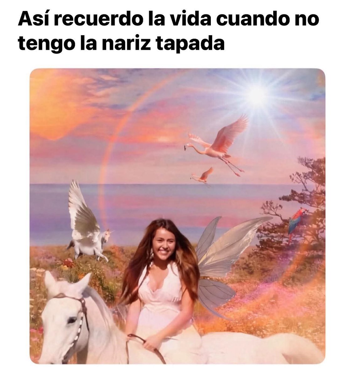 Vanina Rosas tweet media