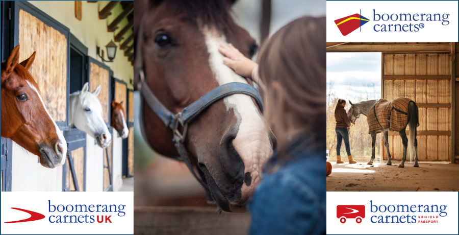 ATACarnetExpert's tweet photo. #Horses on ATA Carnets Get Our #Equine Expertise! “Just Call Kiel!” #CarnetIt2026!

Read more:  https://t.co/FDumPpbFHO

#horse https://t.co/4f7qayGIJ9