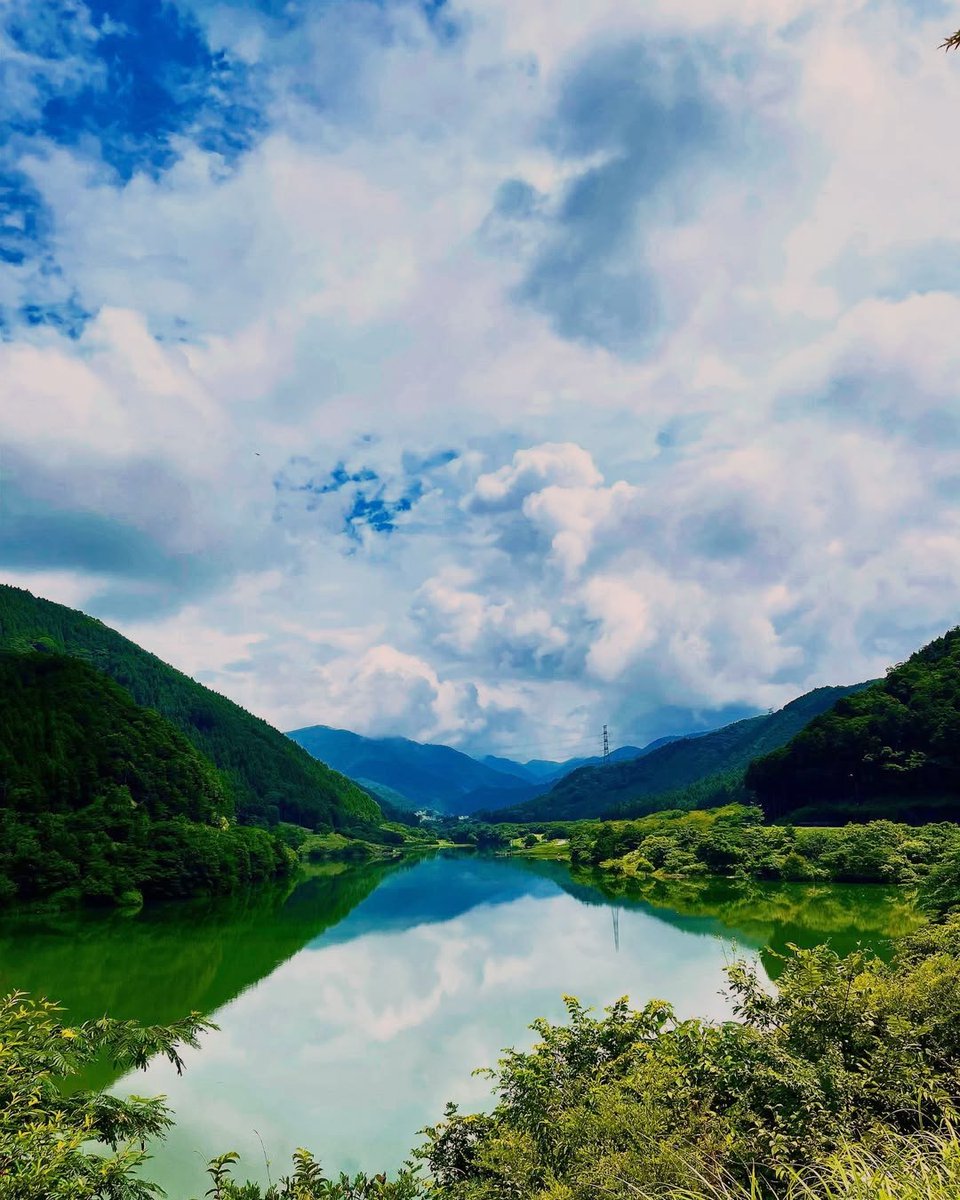 The art festival showcased a diverse range of artistic expressions.