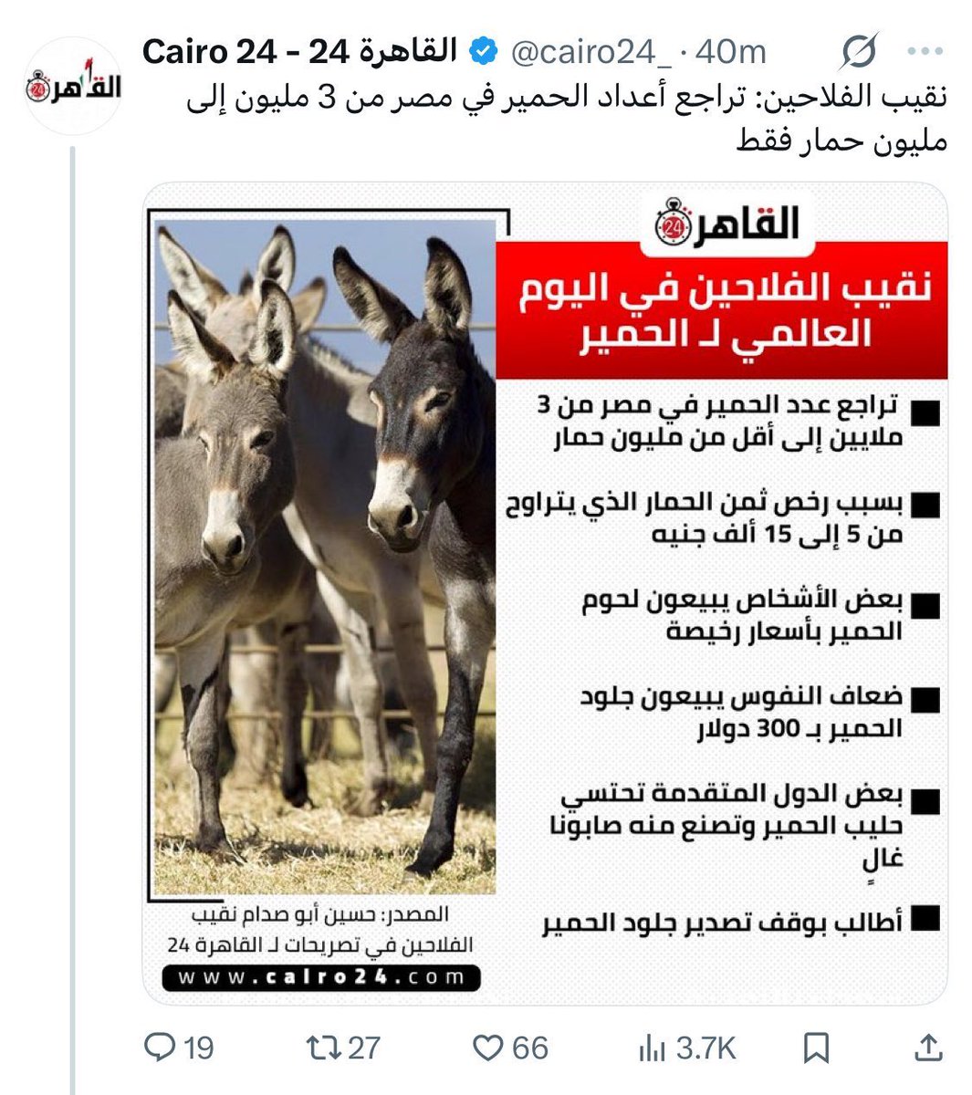 SOBHI tweet media
