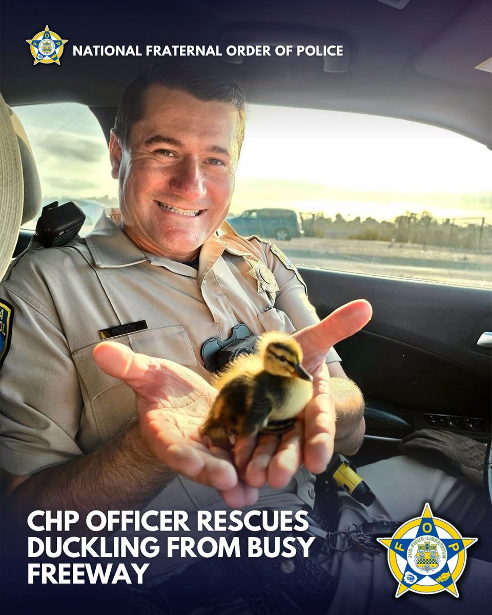National Fraternal Order of Police (FOP) tweet media