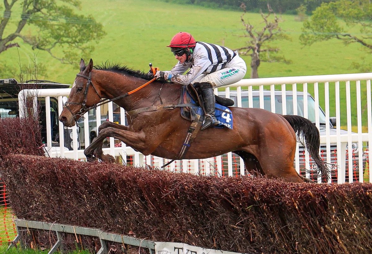 k_woollacott's tweet photo. A great Bank Holiday weekend for Josh and the team at Blackmore Farm with four winners across Flete Park and Vauterhill! 

🥇Ghost Jury
🥇Hearts Corner
🥇Cherry Lane
🥇Beacon Edge 

#BlackmoreFarm #PointToPoint https://t.co/0cOOKLvGnN