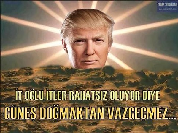 Alper tweet media