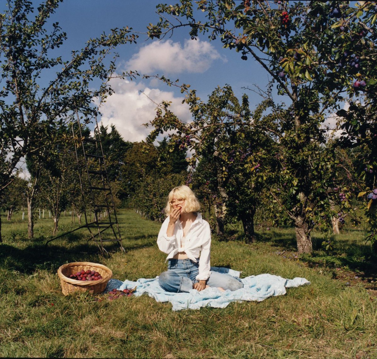 honestly how crazy that it’s officially 2 weeks until my 3rd studio album florescence is out :’))) its hard to describe the feeling of so many years of work accumulating into one big moment like this ! don’t forget to preorder aoty if u haven’t yet! <3 maisiepeters.lnk.to/florescence