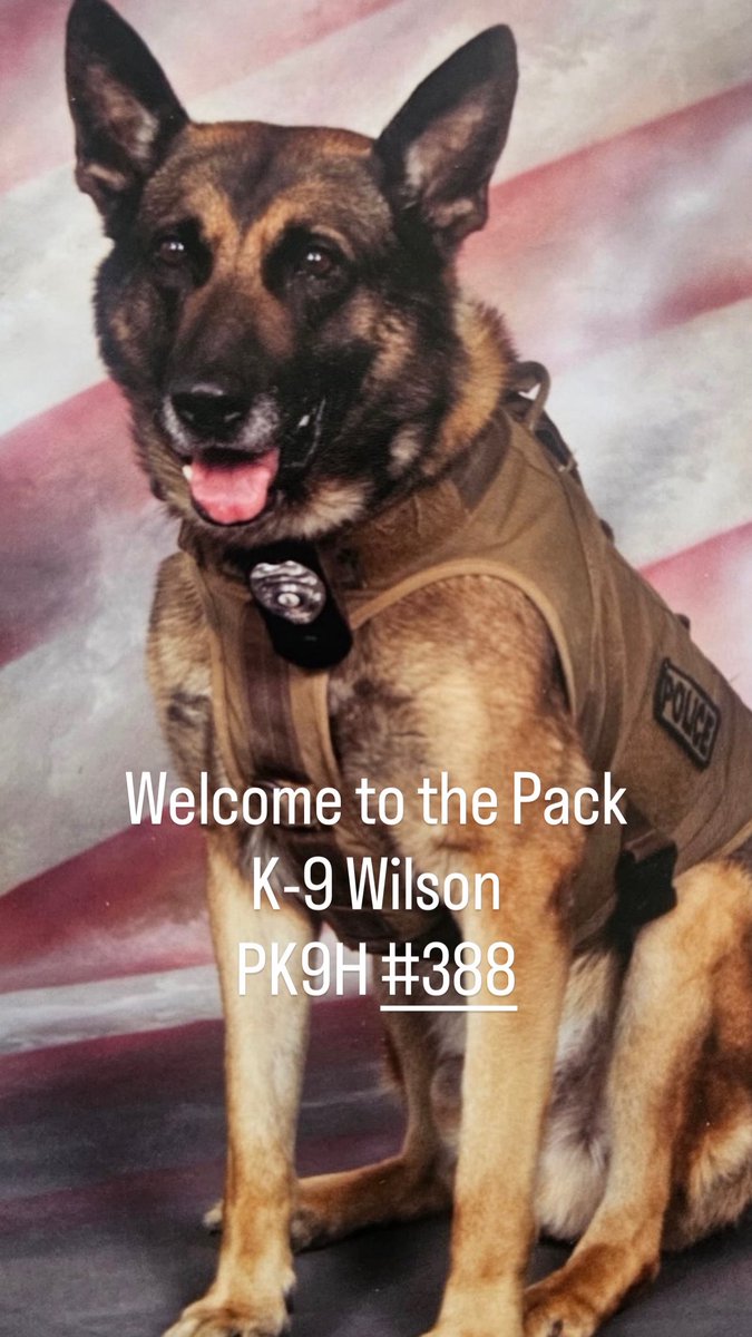 Project K9 Hero tweet media