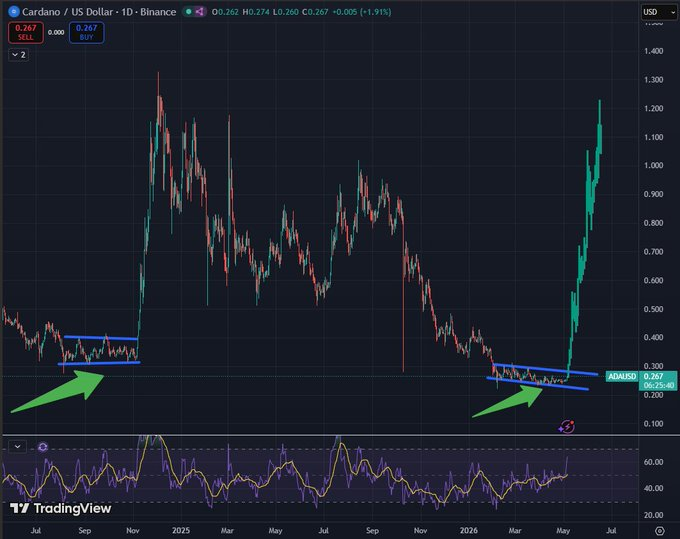 TheCryptoBasic tweet media
