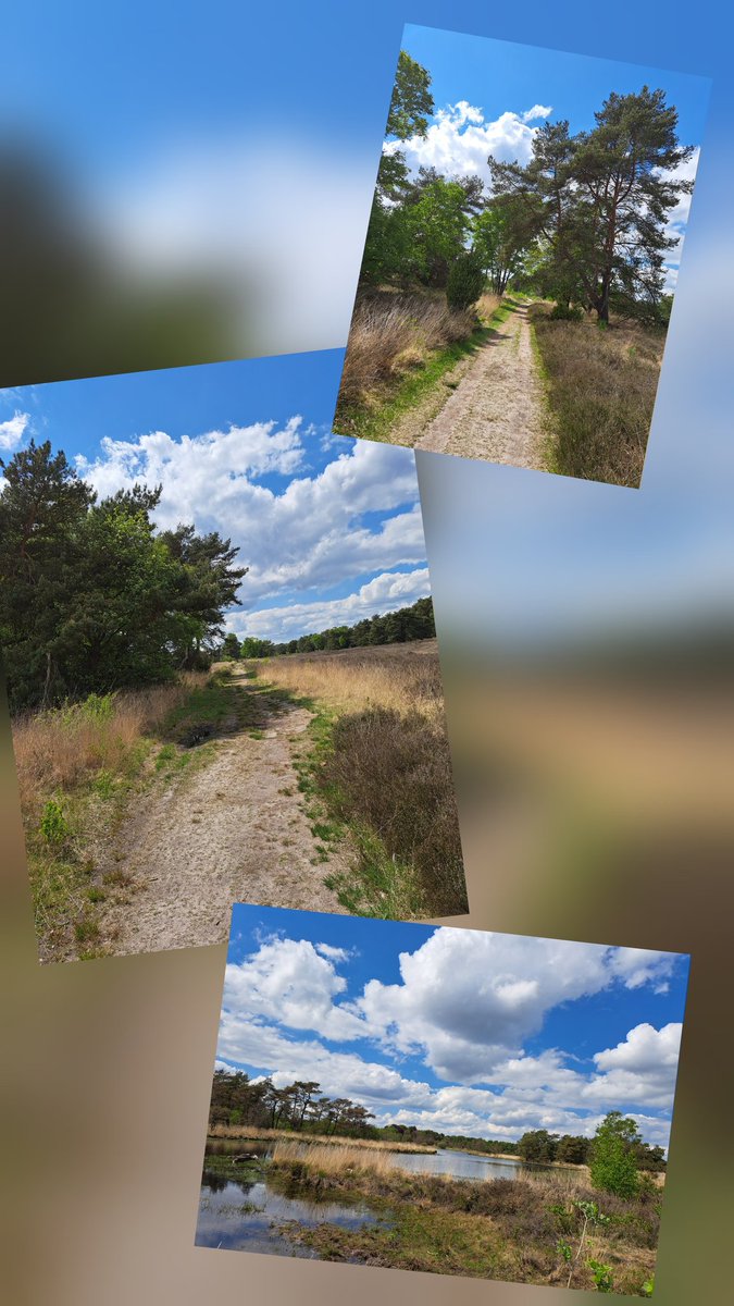 Gaat nog niet geweldig maar deur van kantoor dicht getrokken en gewandeld. Rondje vlonderbruggen blijft toch wel favoriet.