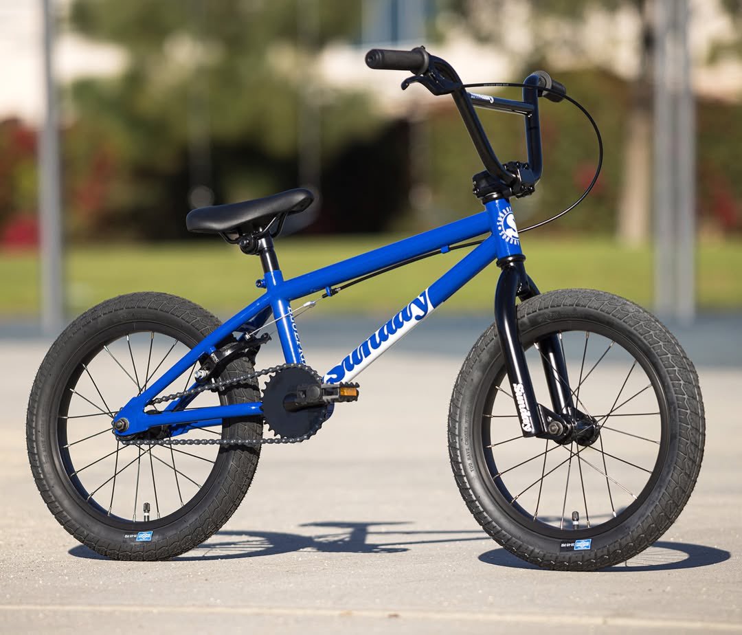 SourceBMX tweet media