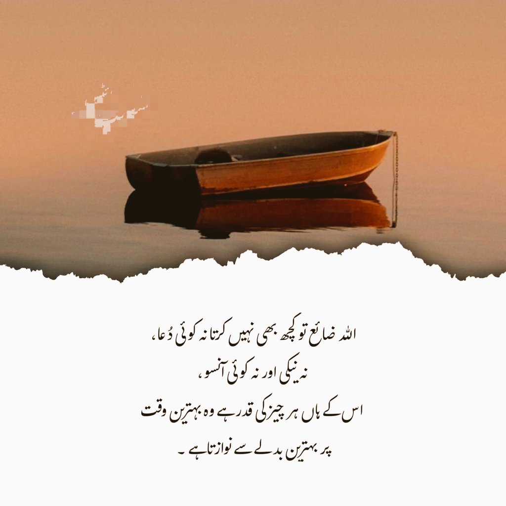 Ashiq Ali tweet media