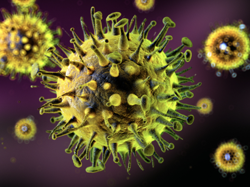 🚨 Hantavirus (“Hentavirus”) Fake News Alert – Let’s Cut Through the ...