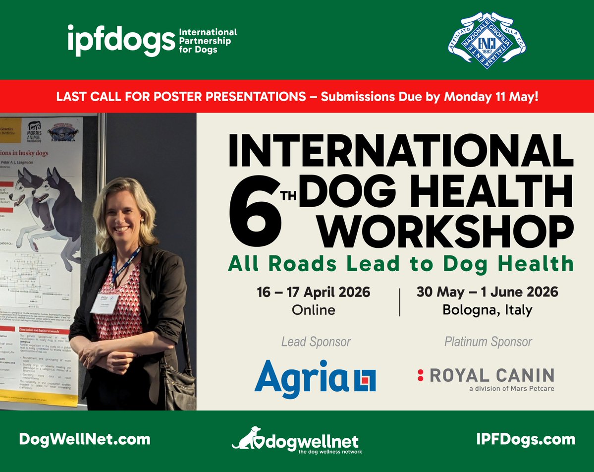 The International Partnership for Dogs (IPFDogs) tweet media