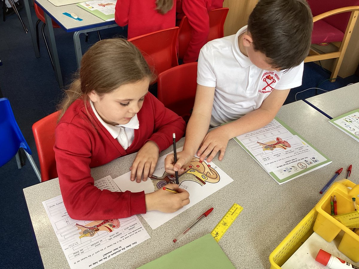 Class4Tsp's tweet photo. How does the structure of the ear help us to hear sounds? https://t.co/yUBI8VAKF0