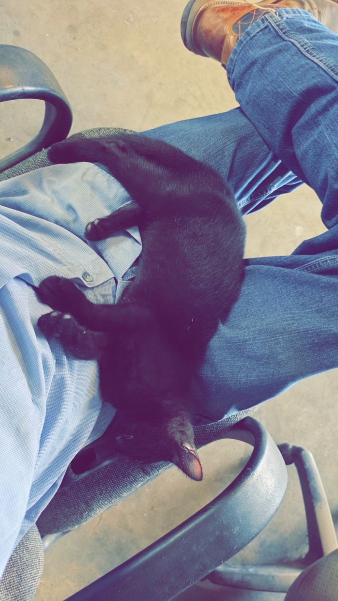 assfro's tweet photo. I got work to do but I can't move right now... https://t.co/6UlXlaO4Ck