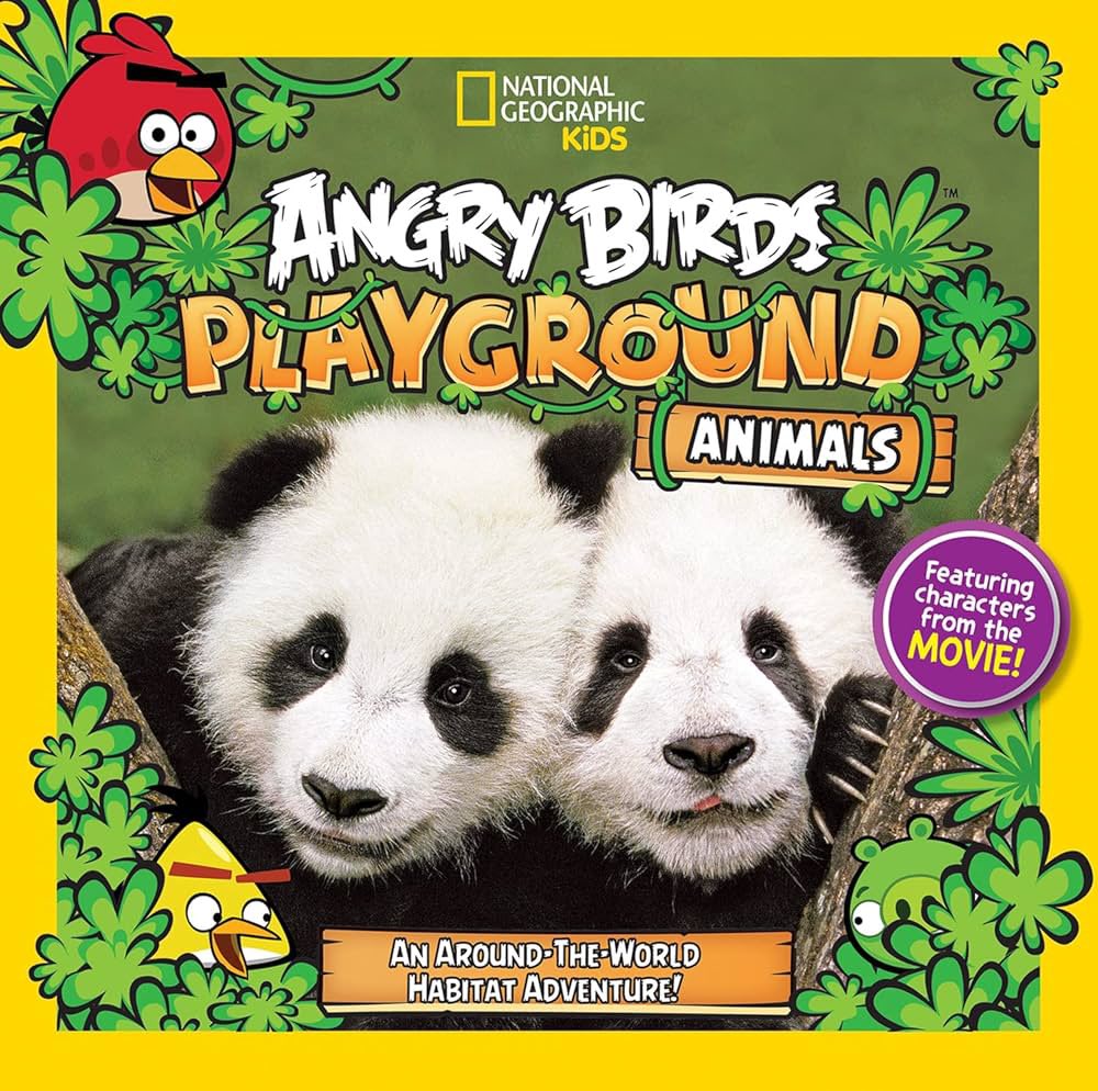 ABFan001's tweet photo. Bro I learned everything I need to know from Angry Birds playground. I think I’m all set big dawg https://t.co/LtxiUPNmvR