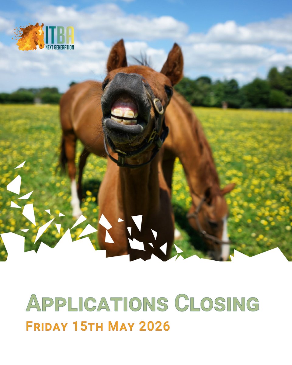 ITBAnextgen's tweet photo. 1⃣ week to apply! Applications for the 𝐈𝐓𝐁𝐀 𝐍𝐞𝐱𝐭 𝐆𝐞𝐧𝐞𝐫𝐚𝐭𝐢𝐨𝐧 𝐈𝐧𝐭𝐞𝐫𝐧𝐬𝐡𝐢𝐩 𝐒𝐜𝐡𝐞𝐦𝐞 close Fri 15 May

Placements and work experience in the thoroughbred industry.

👉Read more &amp; application forms: https://t.co/tOSp9I0K4S https://t.co/GVFApLSTy0
