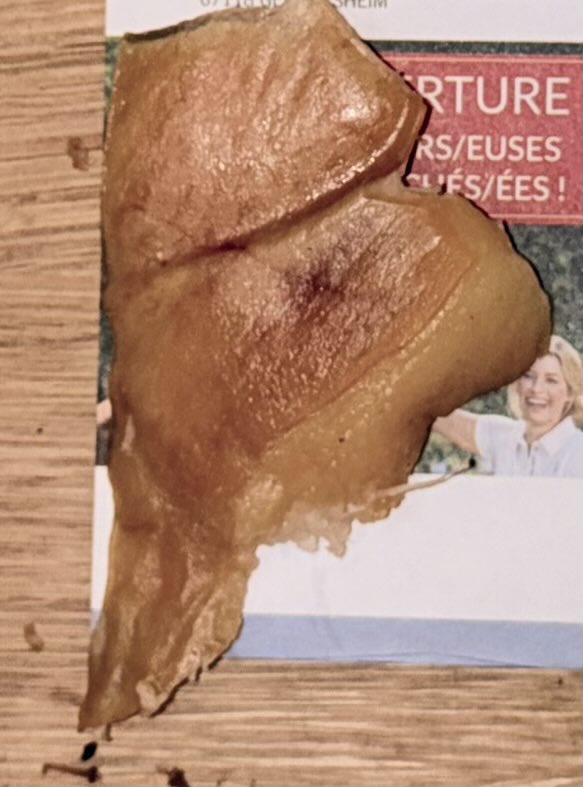 Pas quelqu’un qui a mis du porc cru dans la boîte aux lettres de mes parents 👁️👄👁️ (Nom de famille algérien btw) https://t.co/h5dlmFrJDL