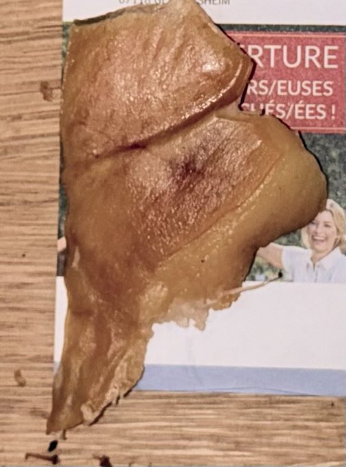 Willokhlass - Pas quelqu’un qui a mis du porc cru dans la boîte aux lettres de mes parents 👁️👄👁️ (Nom de famille algérien btw) https://t.co/h5dlmFrJDL