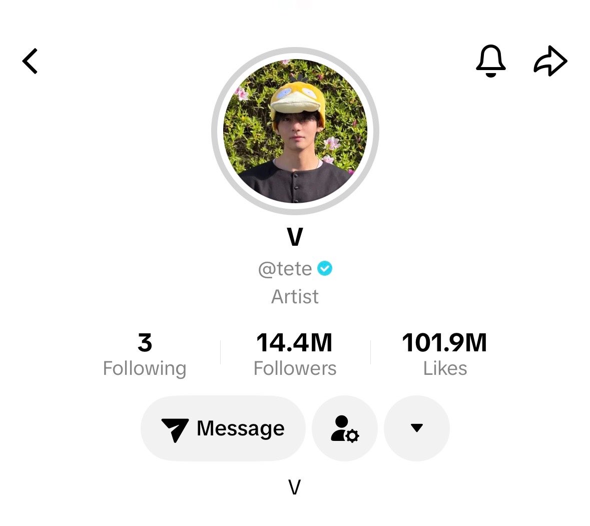 BTS V THAILAND tweet media