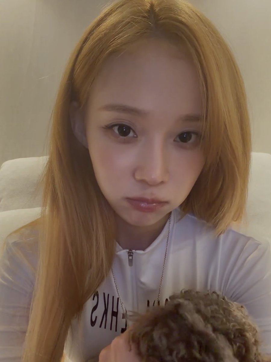 취향의 윈터 tweet media