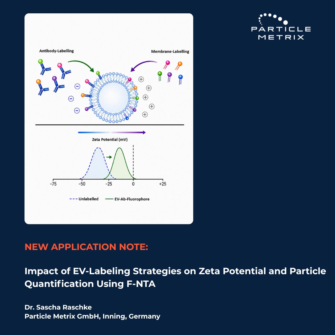 Particle Metrix GmbH tweet media