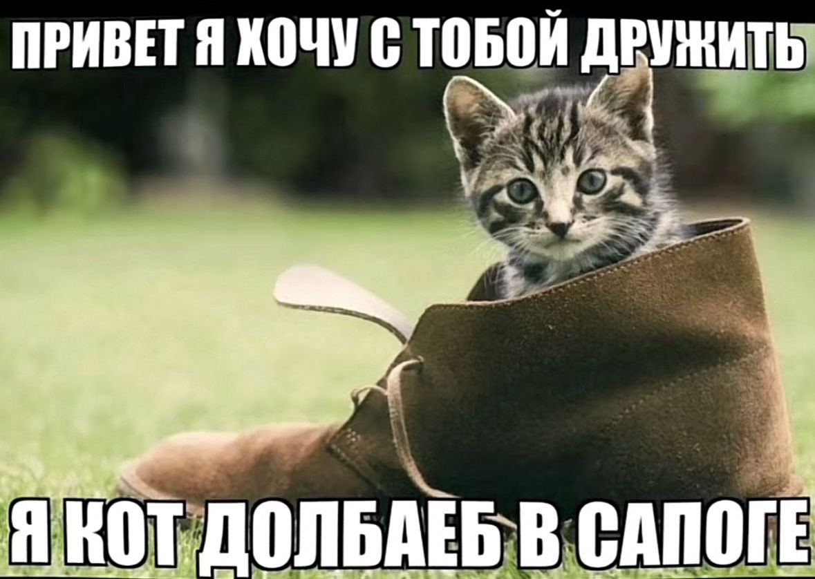 лерк 🦂 tweet media