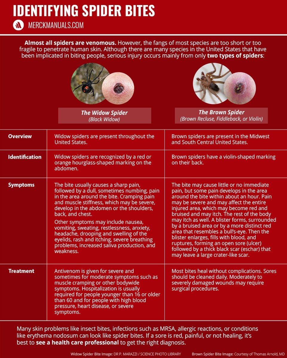 Merck Manual Home tweet media