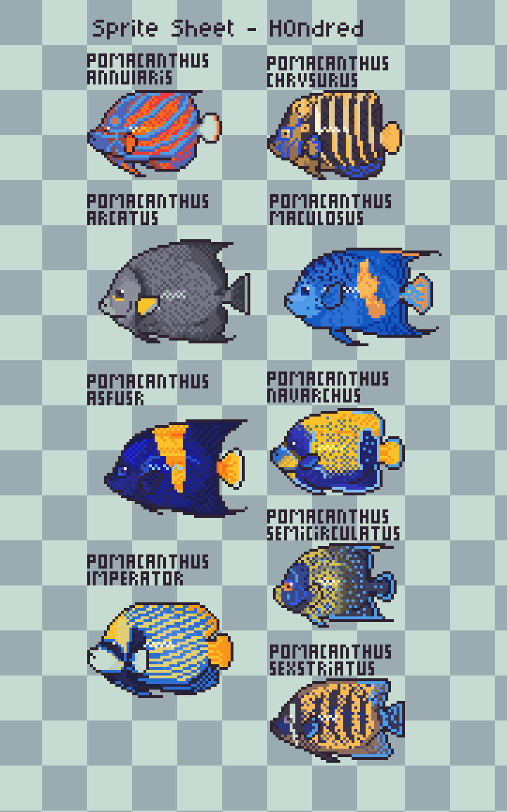 H0ndredEx's tweet photo. Some new Fish concepts for my #aquarium collecting game!
#aseprite #pixelart #gamedev #marineangelfish https://t.co/eruQ6gRB4s