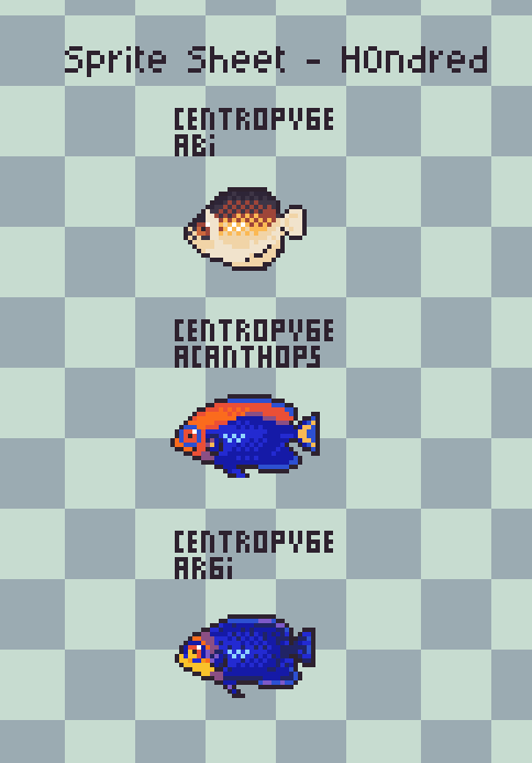 H0ndredEx's tweet photo. Some new Fish concepts for my #aquarium collecting game!
#aseprite #pixelart #gamedev #marineangelfish https://t.co/eruQ6gRB4s