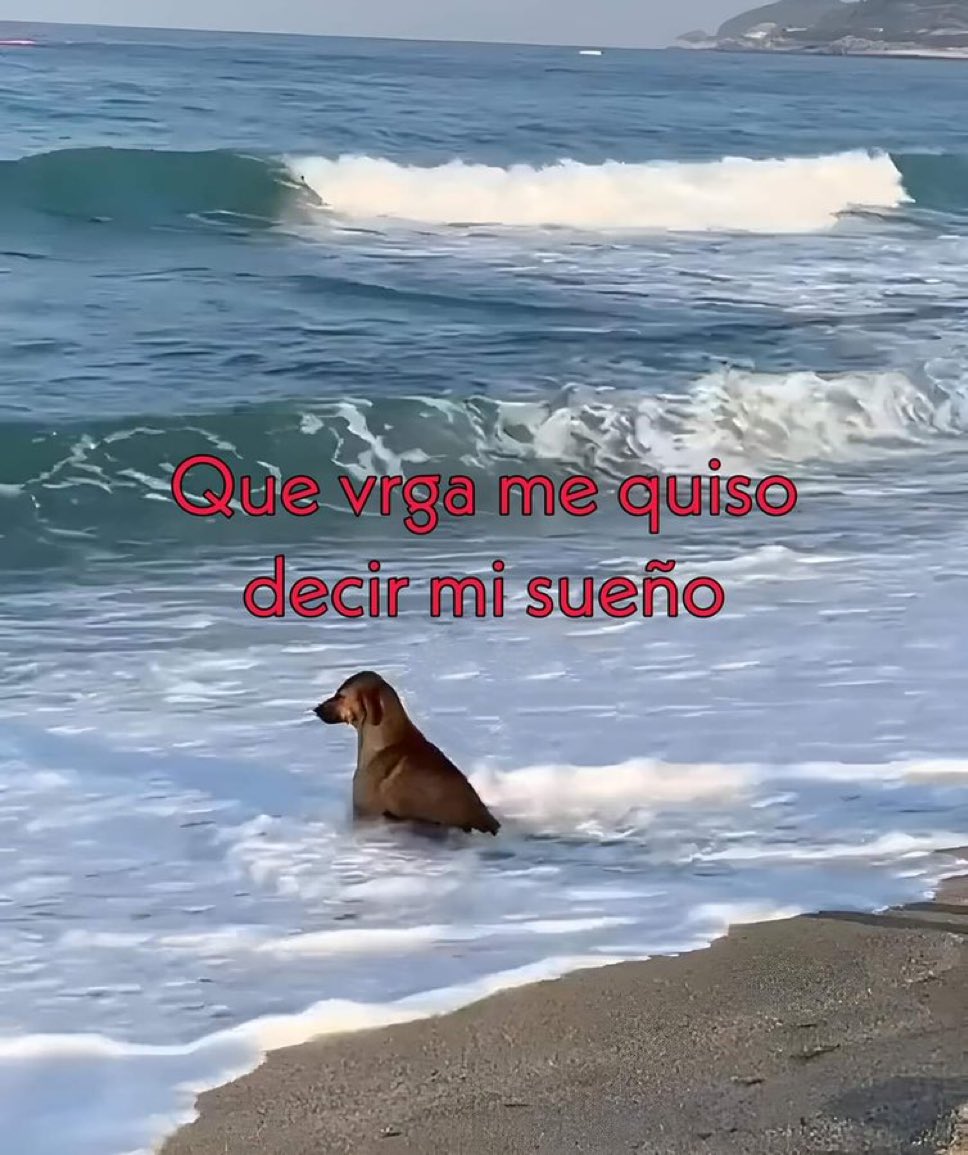 🌙 mini textos (@soyminitextos) on Twitter photo 