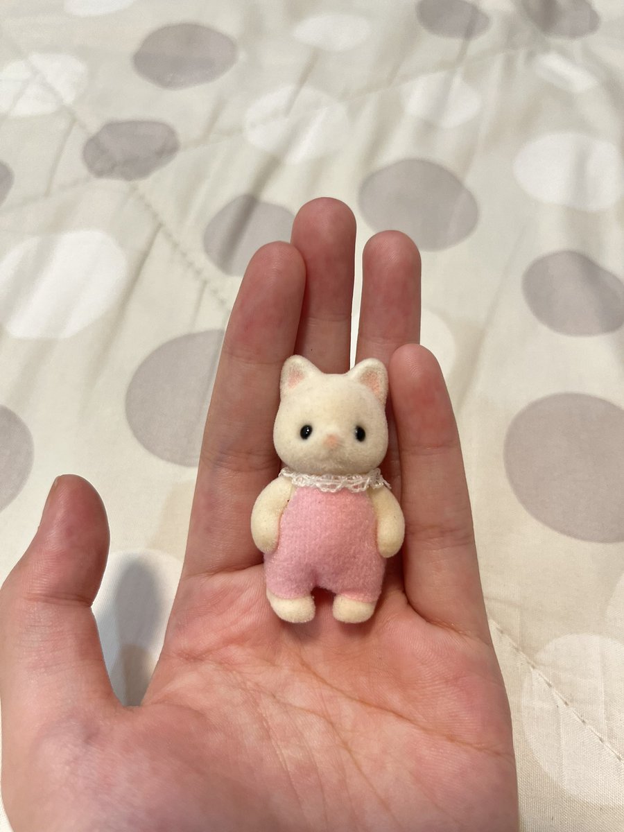 Aacfwi's tweet photo. แมวขาว 110 บาทคับ ตนรอยลิปด้านหลัง
🪷 ค่าส่ง 40 ♡

#ตลาดนัดsanrio #ตลาดนัดsylvanian #ตลาดนัดsylvanianfamilies #ตลาดนัดซิลวาเนียน
 #ตลาดนัดsylvanian https://t.co/Usft0NHEgw