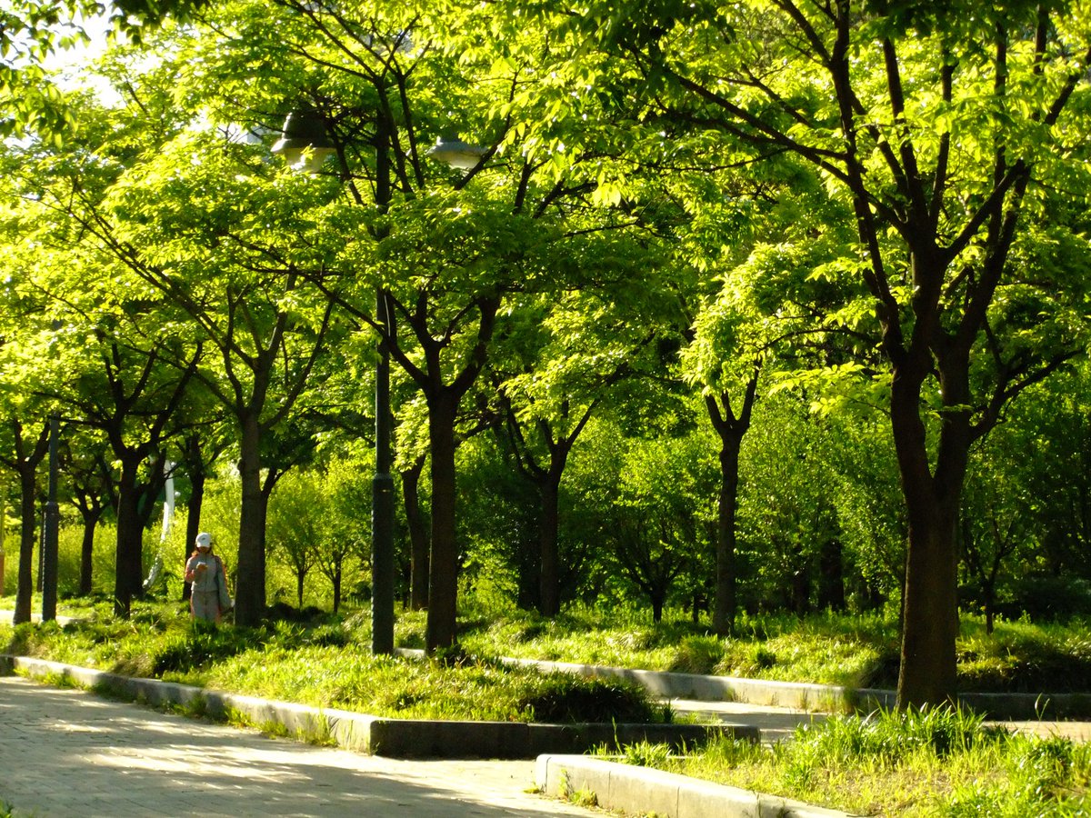 찌릿 tweet media