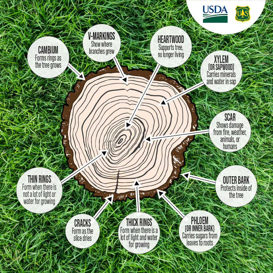 USDA Forest Service tweet media