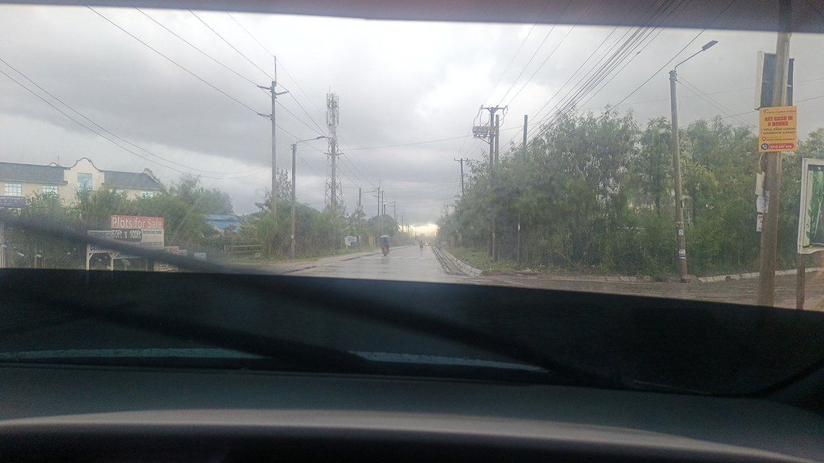 TonneyI tweet picture