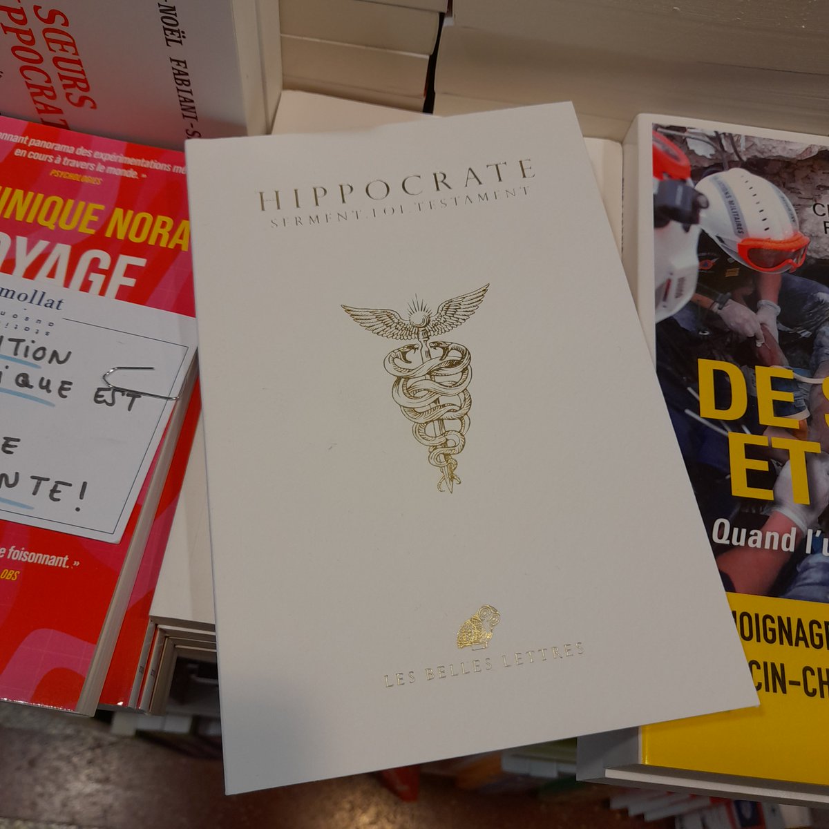 Arelabor's tweet photo. Même un jour férié, on lit ! Merci @lesbelleslettreseditions #vendredilecture #lecturepassion #passionlecture #booksta #bookstagramfrance #bookstore #livres https://t.co/FY3bGQ04Ef