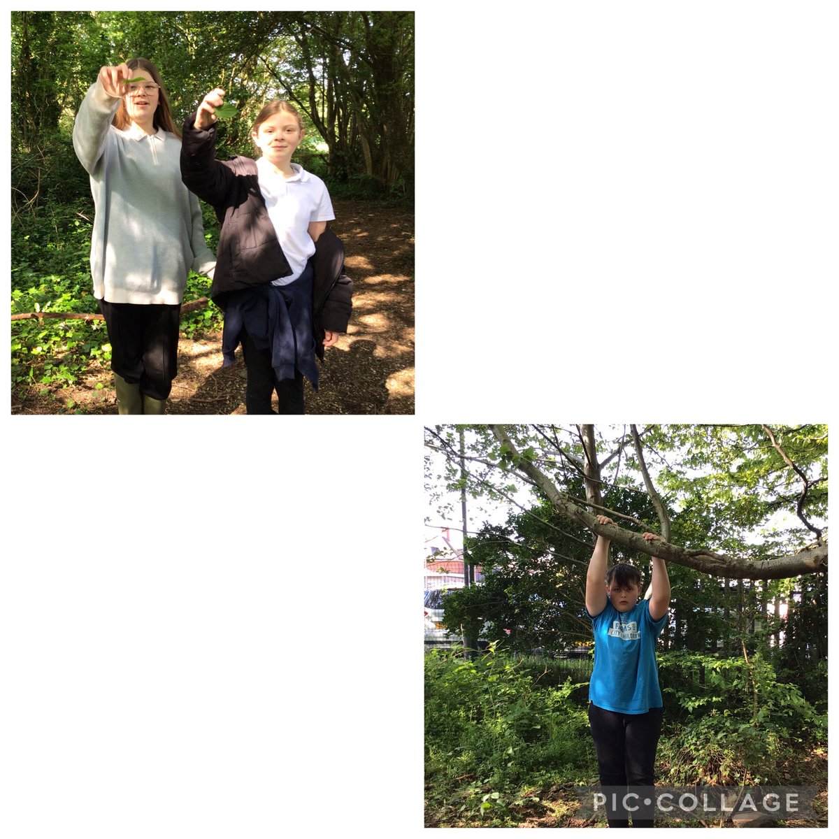 Sandfields Primary School tweet media