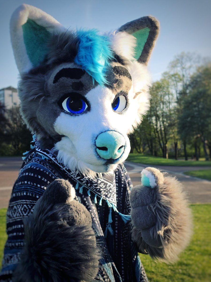 CoilleSheepDog's tweet photo. You what m8?! Put 'em up! 🥊💪

📸 by @Phoenix_Dutchie

#FursuitFriday #Fursuit https://t.co/NnKpRZcFoM