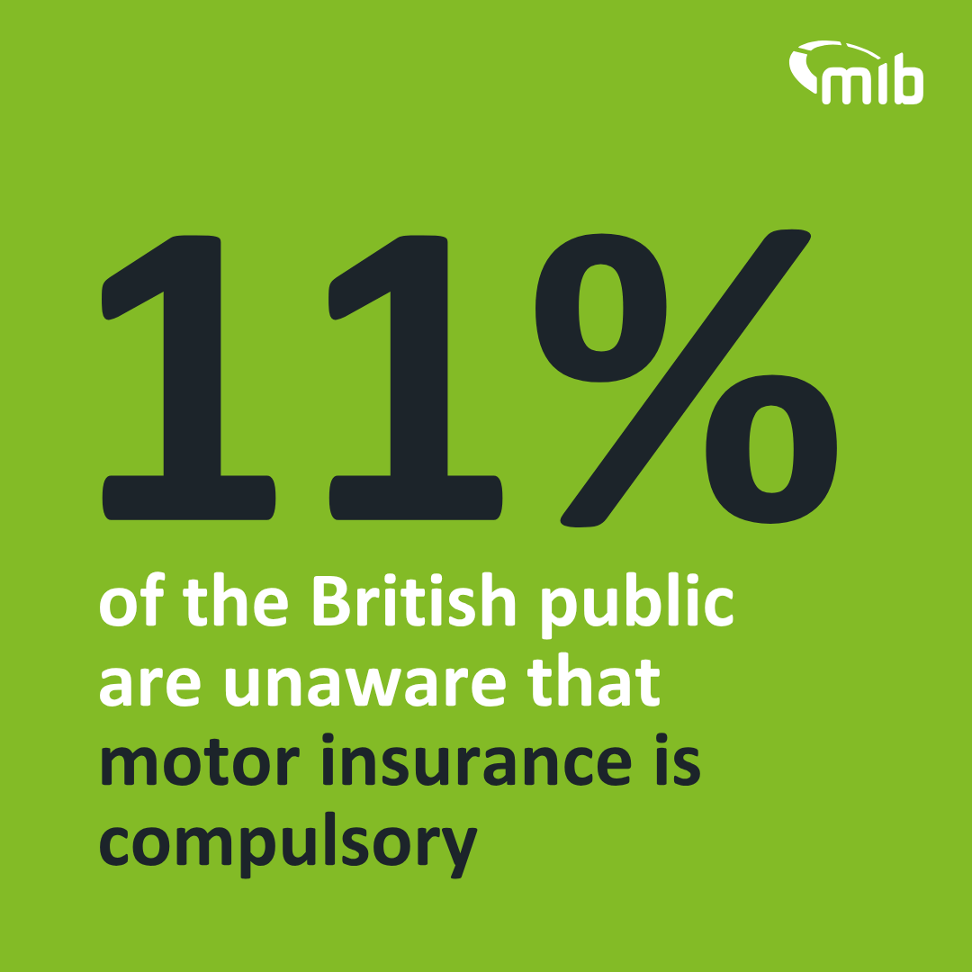 Drive Insured tweet media