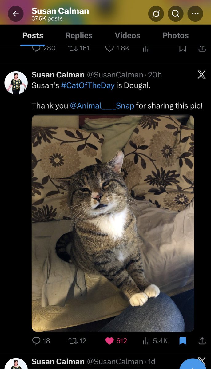 Dougal tweet media