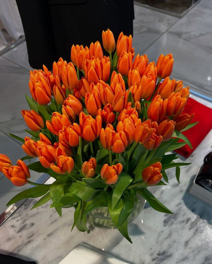 Only Tulips (@tutututututulip) on Twitter photo 